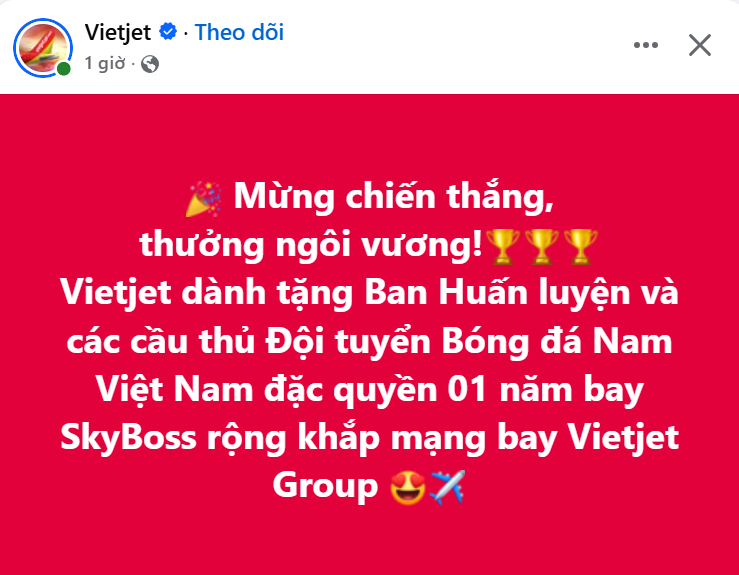 Hãng hàng không của tỷ phú Nguyễn Thị Phương Thảo tặng quà đặc biệt cho tuyển Việt Nam sau chức vô địch - Ảnh 1.