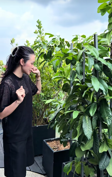 Khu vườn ở TP.HCM của Diệp Bảo Ngọc - Ảnh 10.