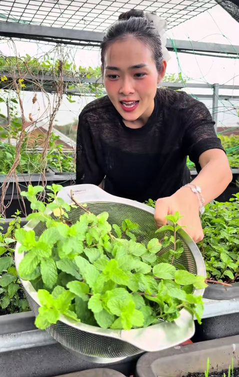 Khu vườn ở TP.HCM của Diệp Bảo Ngọc - Ảnh 12.