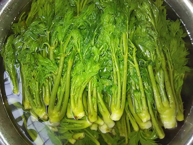 Việt Nam có loại rau dại được Trung, Nhật, Hàn cực ưa chuộng: Bổ như sâm, giá đắt hơn cả thịt!- Ảnh 5.