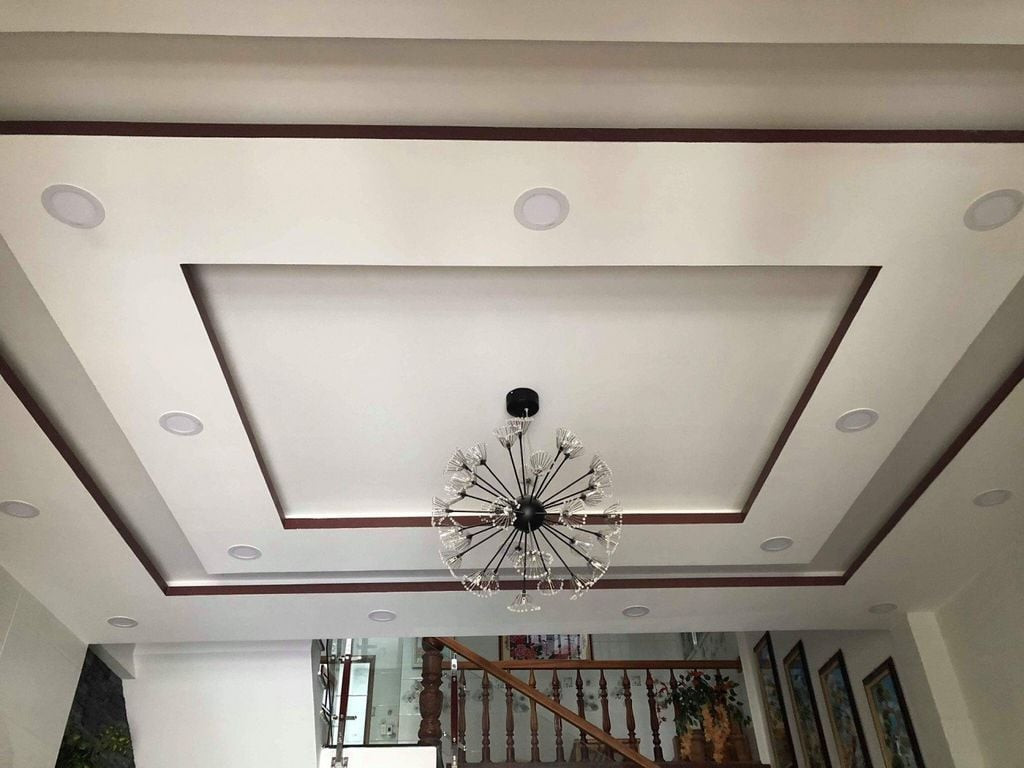 Tin vui cho những người thích dùng lá đinh lăng! - Ảnh 2.