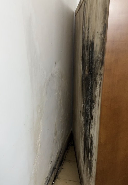 Nhà mới ở 2 năm đã "hơi cũ": Tôi phát hiện 7 thói quen âm thầm bào mòn mọi thứ bên trong- Ảnh 2.