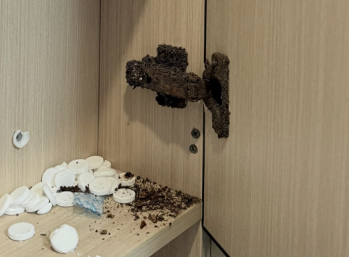 Nhà mới ở 2 năm đã "hơi cũ": Tôi phát hiện 7 thói quen âm thầm bào mòn mọi thứ bên trong- Ảnh 3.