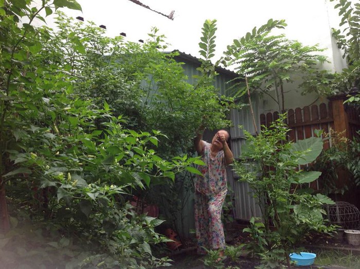Căn nhà của bố mẹ ruột Tăng Thanh Hà  - Ảnh 1.