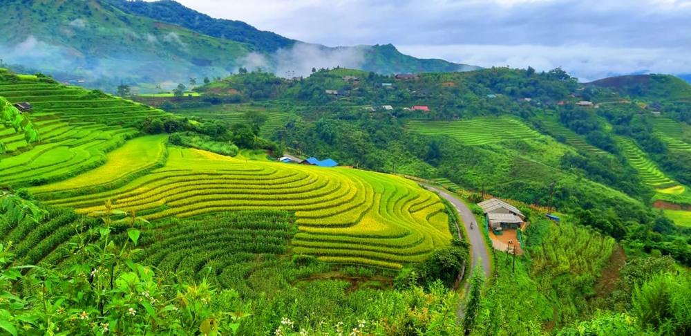 Phát hiện Phát hiện