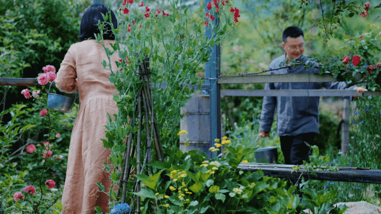 Bỏ việc ở tuổi 40, cặp vợ chồng kỹ sư về quê cải tạo nhà cổ, làm khu vườn 1.200m²: 7 năm sau không muốn trở lại thành phố- Ảnh 9.
