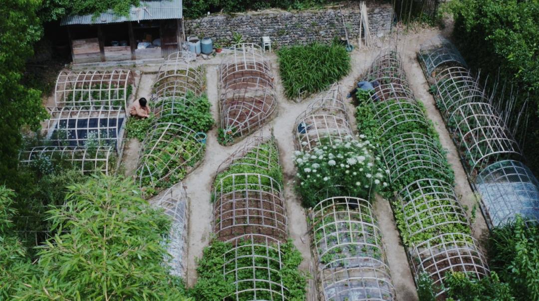 Bỏ việc ở tuổi 40, cặp vợ chồng kỹ sư về quê cải tạo nhà cổ, làm khu vườn 1.200m²: 7 năm sau không muốn trở lại thành phố- Ảnh 16.