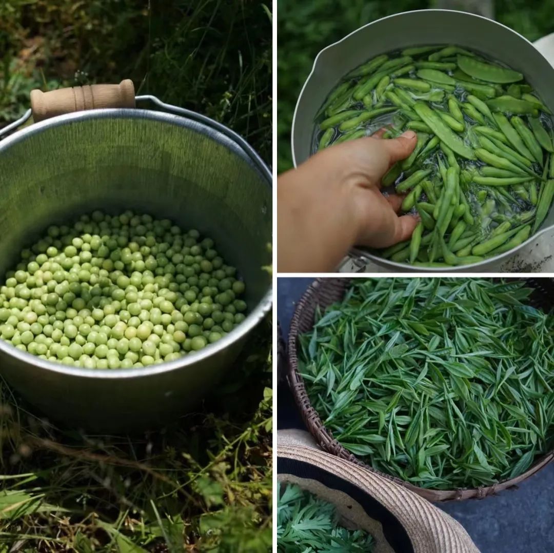 Bỏ việc ở tuổi 40, cặp vợ chồng kỹ sư về quê cải tạo nhà cổ, làm khu vườn 1.200m²: 7 năm sau không muốn trở lại thành phố- Ảnh 6.
