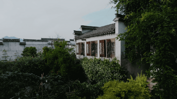 Bỏ việc ở tuổi 40, cặp vợ chồng kỹ sư về quê cải tạo nhà cổ, làm khu vườn 1.200m²: 7 năm sau không muốn trở lại thành phố- Ảnh 14.