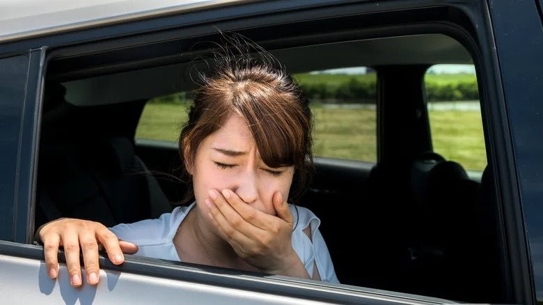 Cứ lên ô tô là "buồn nôn, say xe": Vì sao lại thế?- Ảnh 2.