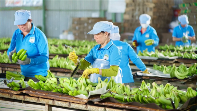 HAGL đã bán gần 15 triệu cổ phần tại HGI với giá thấp hơn 25% giá IPO- Ảnh 1.