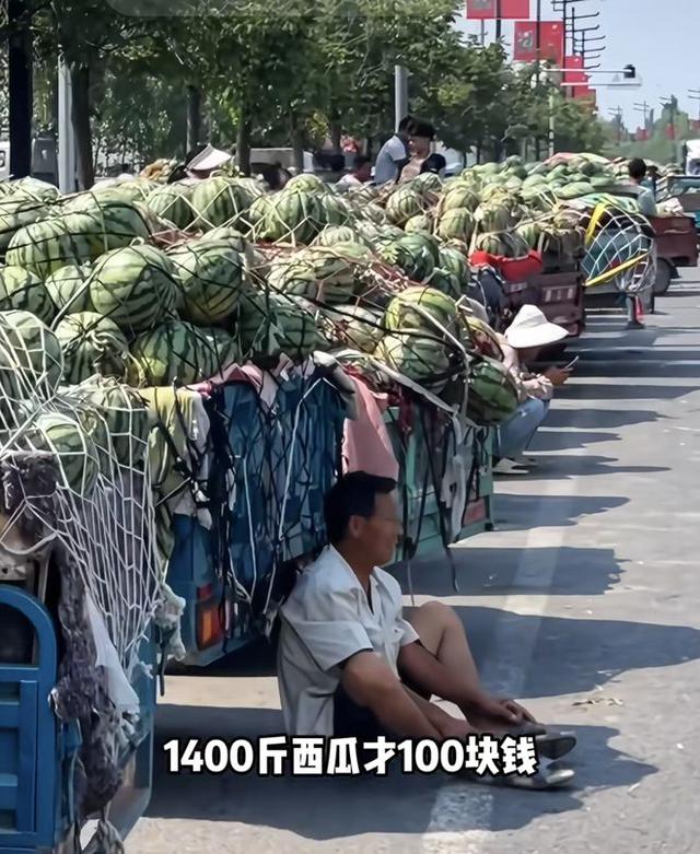 Chiến lược giải cứu nông sản giúp nông dân của Mixue- Ảnh 1.