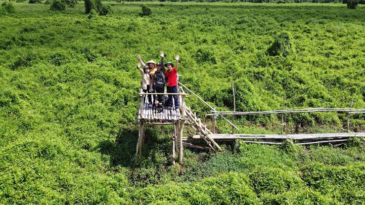 Việt Nam có khu rừng thuộc dạng hiếm bậc nhất thế giới, chia đôi bởi 1 dòng sông, 3 tổ chức cùng vinh danh- Ảnh 5.