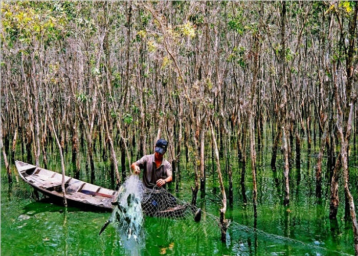 Việt Nam có khu rừng thuộc dạng hiếm bậc nhất thế giới, chia đôi bởi 1 dòng sông, 3 tổ chức cùng vinh danh- Ảnh 6.