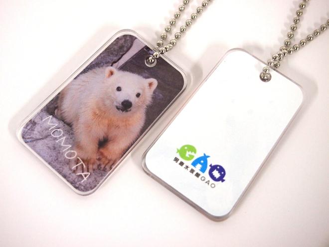 Chú gấu Bắc Cực "nghiện cọc tiêu giao thông" cứu sống cả một thủy cung: 20.000 lượt khách/ 4 ngày, và cỗ máy kinh doanh giấu sau lớp lông trắng - Ảnh 5.