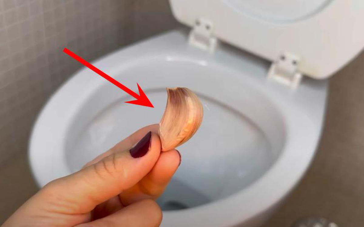 Vì sao muỗi vo ve trong bóng tối, nhưng lập tức biến mất khi bật đèn? - Ảnh 1.