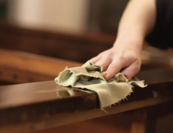 Pha bắt mọt gỗ đỉnh cao giúp dân tình được khai sáng: Hoá ra sinh vật này có hình thù không như chúng ta tưởng - Ảnh 2.