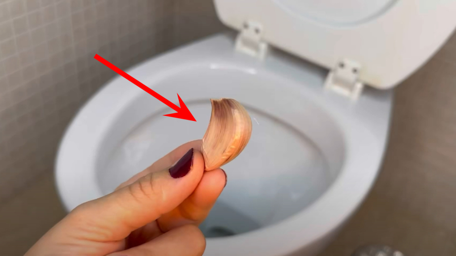 Vì sao ngày càng nhiều gia đình thích bỏ 1 tép tỏi vào bồn cầu mỗi đêm? - Ảnh 1.