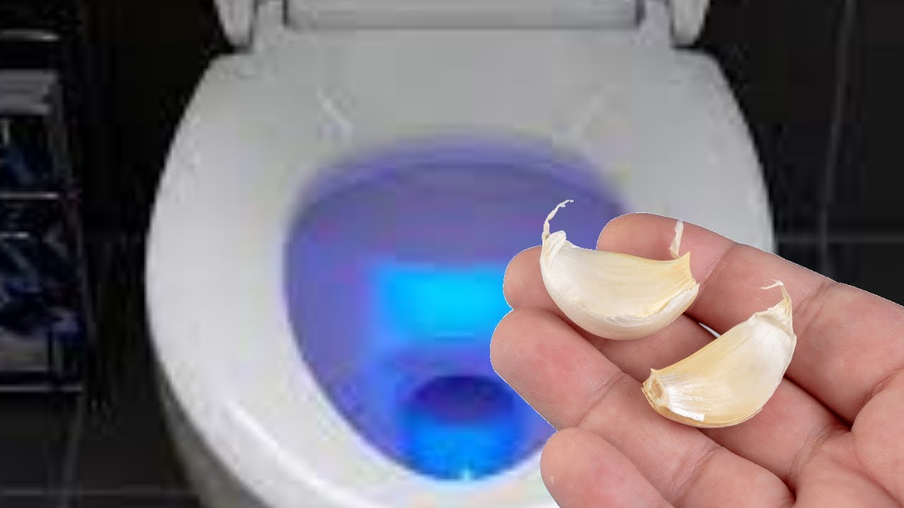 Vì sao ngày càng nhiều gia đình thích bỏ 1 tép tỏi vào bồn cầu mỗi đêm? - Ảnh 2.