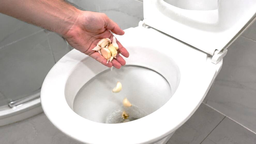 Vì sao ngày càng nhiều gia đình thích bỏ 1 tép tỏi vào bồn cầu mỗi đêm? - Ảnh 3.