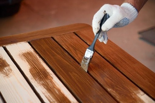 Pha bắt mọt gỗ đỉnh cao giúp dân tình được khai sáng: Hoá ra sinh vật này có hình thù không như chúng ta tưởng - Ảnh 5.