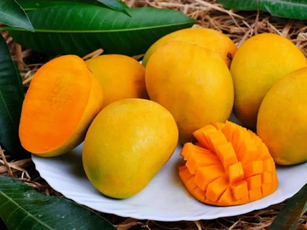 4 loại quả ngon bác sĩ khuyên đừng ăn quá nhiều vào mùa hè: Hại dạ dày, lá lách, toàn món quen  của nhiều gia- Ảnh 3.