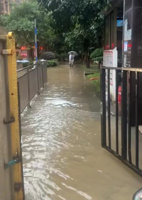 Mua căn hộ tầng một vì mê khoảng sân, sau một trận ngập mới hiểu khoản tiền tiết kiệm chẳng thấm vào đâu - Ảnh 3.