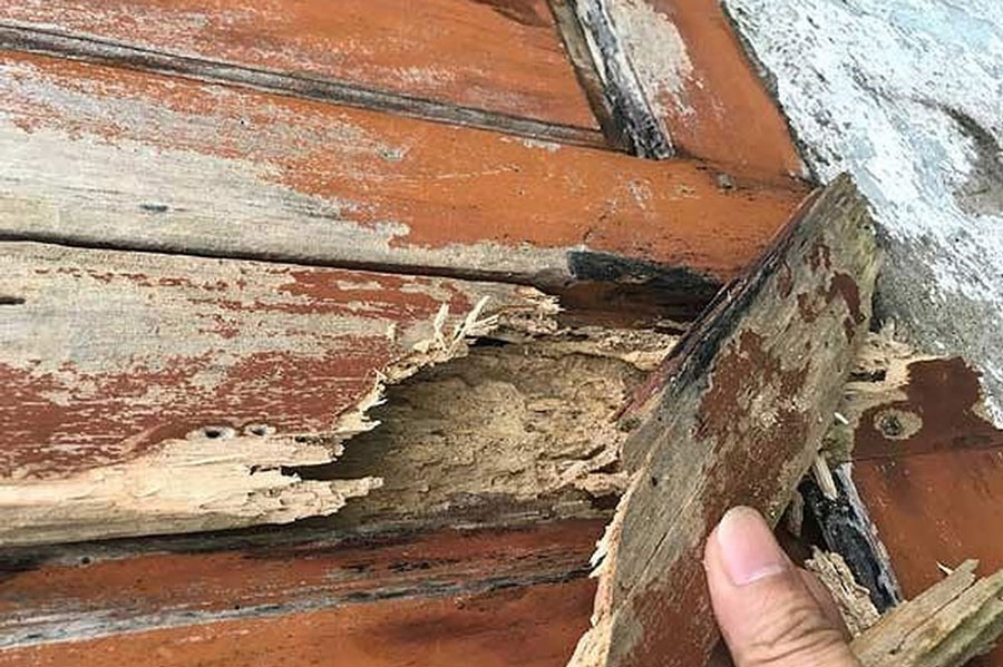 Thợ mộc lâu năm chỉ ra cách nhận biết cửa gỗ, tủ gỗ trong nhà bị mối, mọt nghiêm trọng: Nhiều người từng thấy nhưng lại bỏ qua - Ảnh 1.