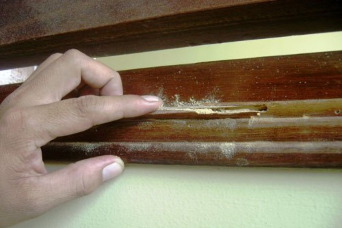Thợ mộc lâu năm chỉ ra cách nhận biết cửa gỗ, tủ gỗ trong nhà bị mối, mọt nghiêm trọng: Nhiều người từng thấy nhưng lại bỏ qua - Ảnh 4.