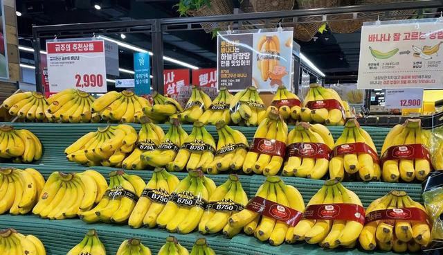 Công ty con của HAGL chốt thời gian IPO 18,8 triệu cổ phiếu- Ảnh 1. Công ty con của HAGL chốt thời gian IPO 18,8 triệu cổ phiếu- Ảnh 1.