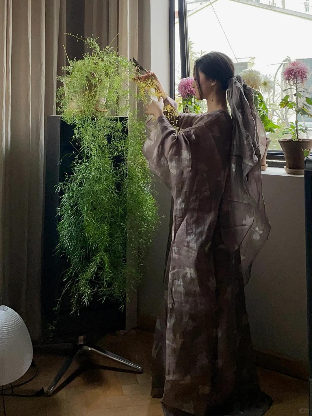 Người phụ nữ chỉ đặt một chậu cây 4 năm tuổi trong phòng khách, ai bước vào đều khen: “Nhìn thôi đã thấy thư thái”- Ảnh 1.