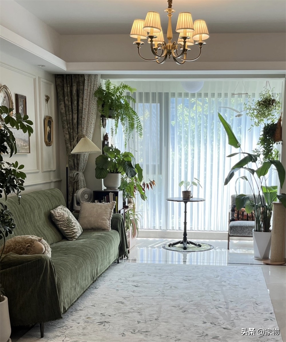 Ngôi nhà “ngập tràn cây xanh” của cô gái trẻ gây sốt: Gần 100 chậu cây phủ kín phòng khách và ban công, càng nhìn càng thấy thư thái - Ảnh 3.