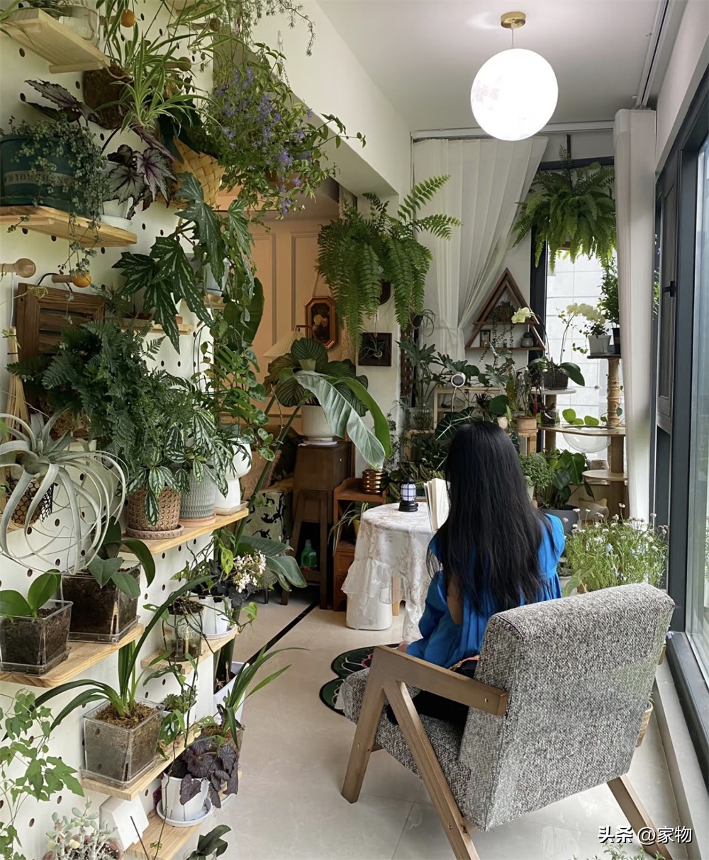 Ngôi nhà “ngập tràn cây xanh” của cô gái trẻ gây sốt: Gần 100 chậu cây phủ kín phòng khách và ban công, càng nhìn càng thấy thư thái - Ảnh 10.
