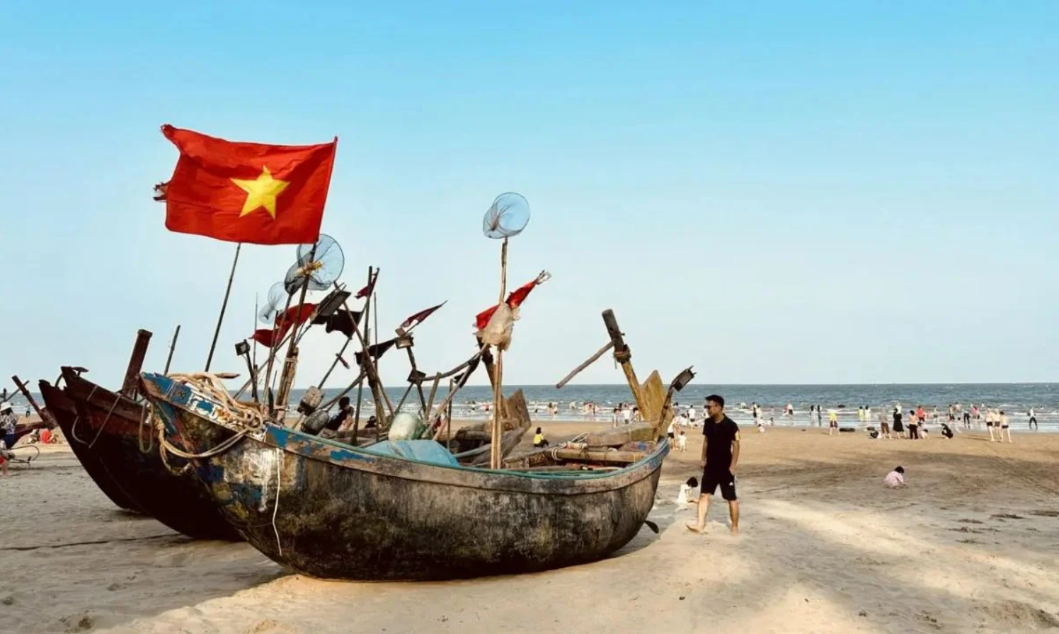 Phát hiện "con vật khổng lồ" trên bãi biển Sầm Sơn đúng dịp 2/9, hàng nghìn du khách chú ý- Ảnh 5.