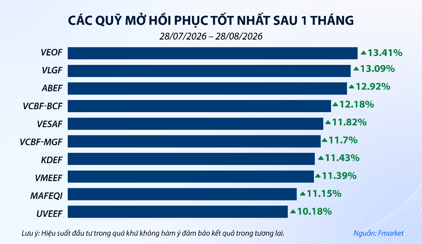 Quỹ mở hưởng lợi khi thị trường chứng khoán bật tăng- Ảnh 1.