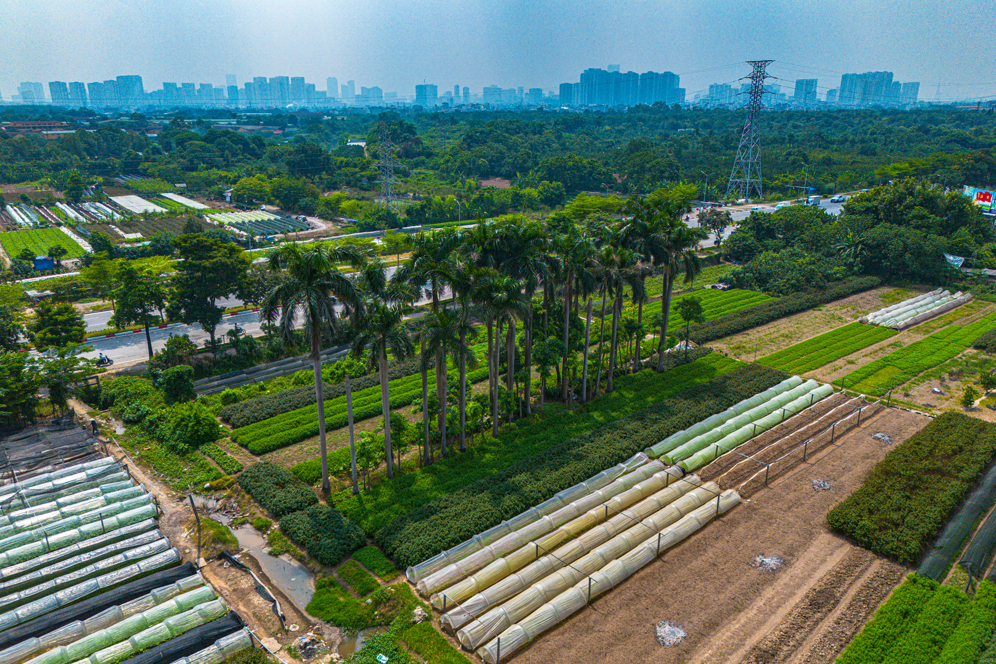 Toàn cảnh siêu dự án công viên công nghệ vốn 2 tỷ USD của FPT, rộng gần gấp 2 phố cổ Hà Nội, cách Hồ Tây 10km - Ảnh 6.