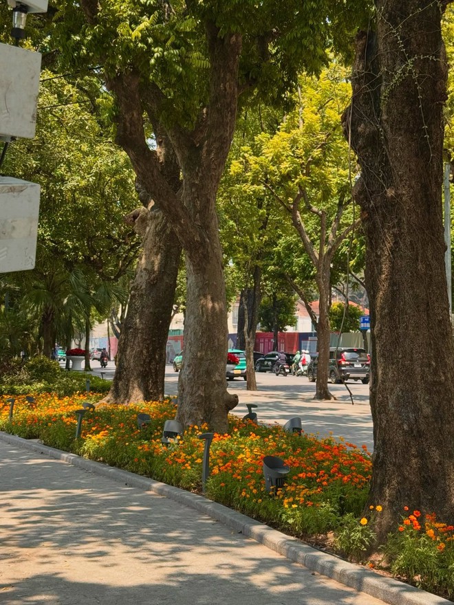 "Vạn vật đều thua Hà Nội mùa thu": Đợt gió lạnh đầu tiên vừa đi qua, phố đã kịp đổi màu- Ảnh 18.