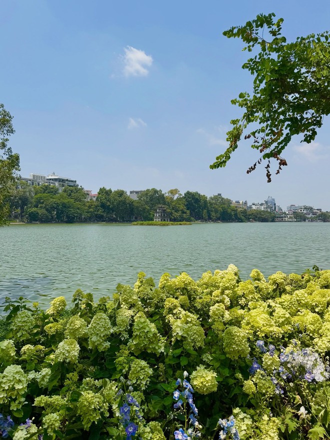 "Vạn vật đều thua Hà Nội mùa thu": Đợt gió lạnh đầu tiên vừa đi qua, phố đã kịp đổi màu- Ảnh 17.