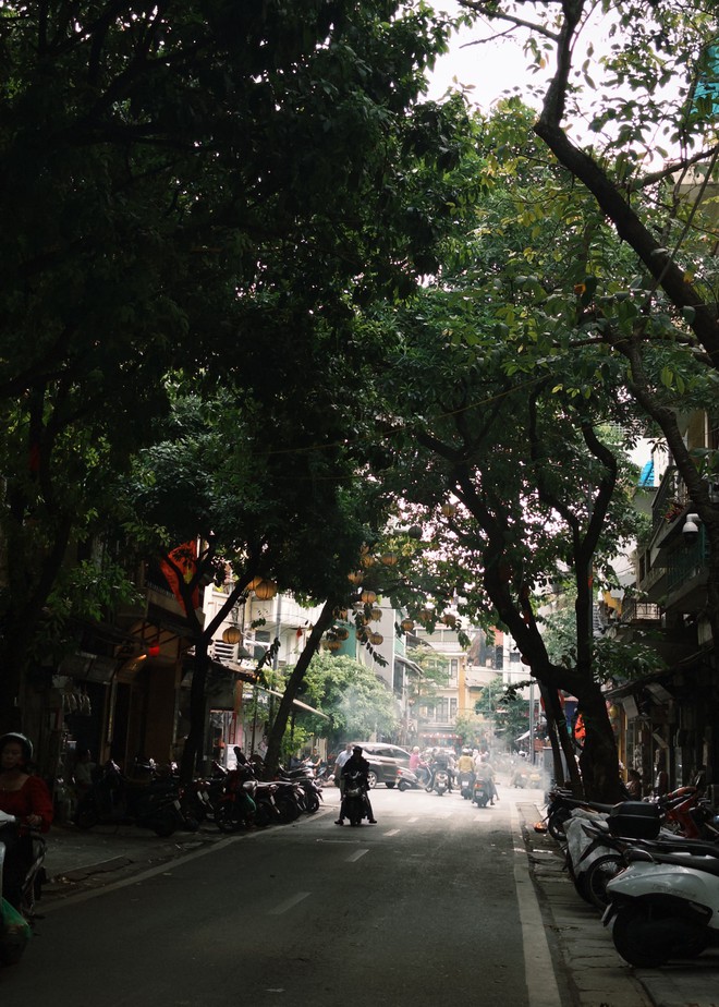 "Vạn vật đều thua Hà Nội mùa thu": Đợt gió lạnh đầu tiên vừa đi qua, phố đã kịp đổi màu- Ảnh 36.