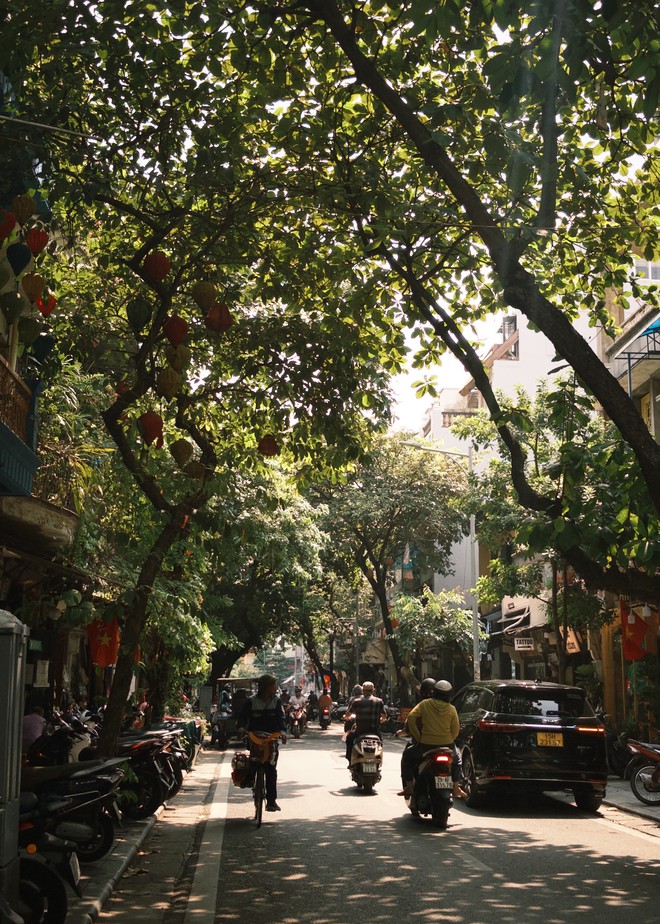 "Vạn vật đều thua Hà Nội mùa thu": Đợt gió lạnh đầu tiên vừa đi qua, phố đã kịp đổi màu- Ảnh 32.