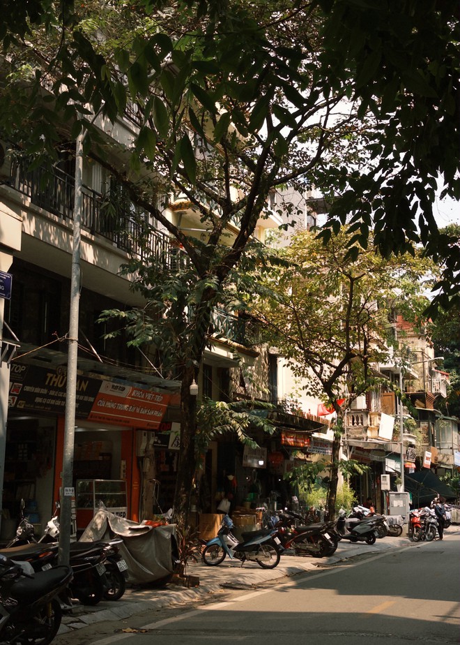 "Vạn vật đều thua Hà Nội mùa thu": Đợt gió lạnh đầu tiên vừa đi qua, phố đã kịp đổi màu- Ảnh 34.