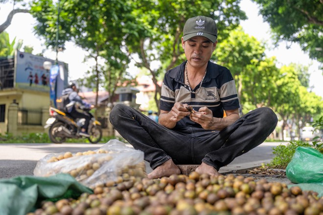 "Vạn vật đều thua Hà Nội mùa thu": Đợt gió lạnh đầu tiên vừa đi qua, phố đã kịp đổi màu- Ảnh 21.