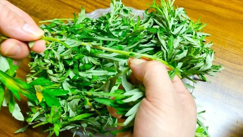 Lời khuyên dành cho tất cả các gia đình đang trồng và ăn cây ngải cứu- Ảnh 2.