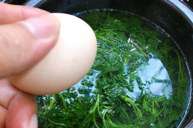 Lời khuyên dành cho tất cả các gia đình đang trồng và ăn cây ngải cứu- Ảnh 1.