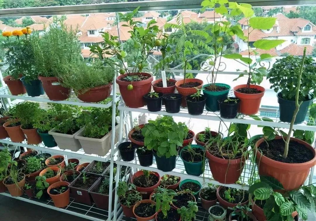 Cô gái sống trong căn hộ chỉ 7m²: Tận dụng từng centimet, nhìn cách sắp xếp mới hiểu nhà nhỏ vẫn có thể rất dễ chịu- Ảnh 6.