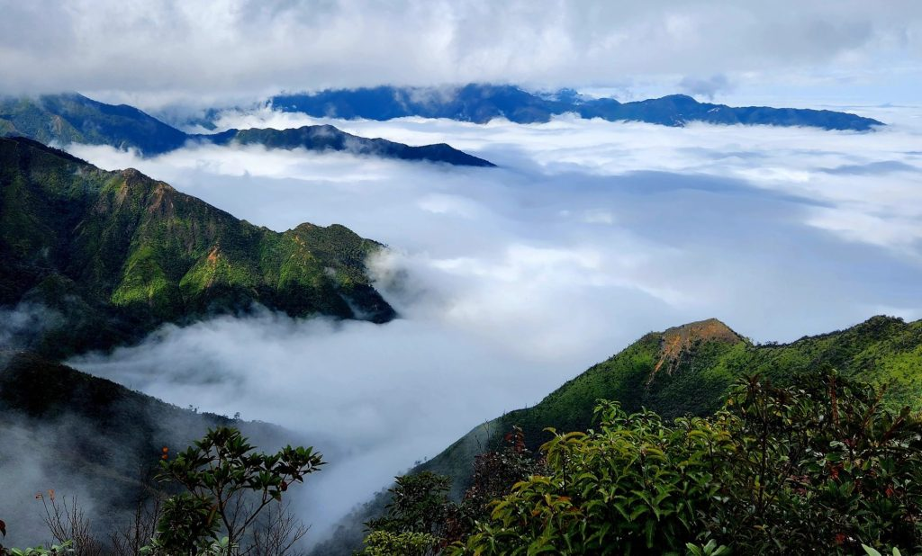 Việt Nam có 1 vùng đất mát mẻ quanh năm, sở hữu “sống lưng khủng long” giữa biển mây, vừa được vinh danh điểm đến mới nổi hàng đầu châu Á - Ảnh 1.