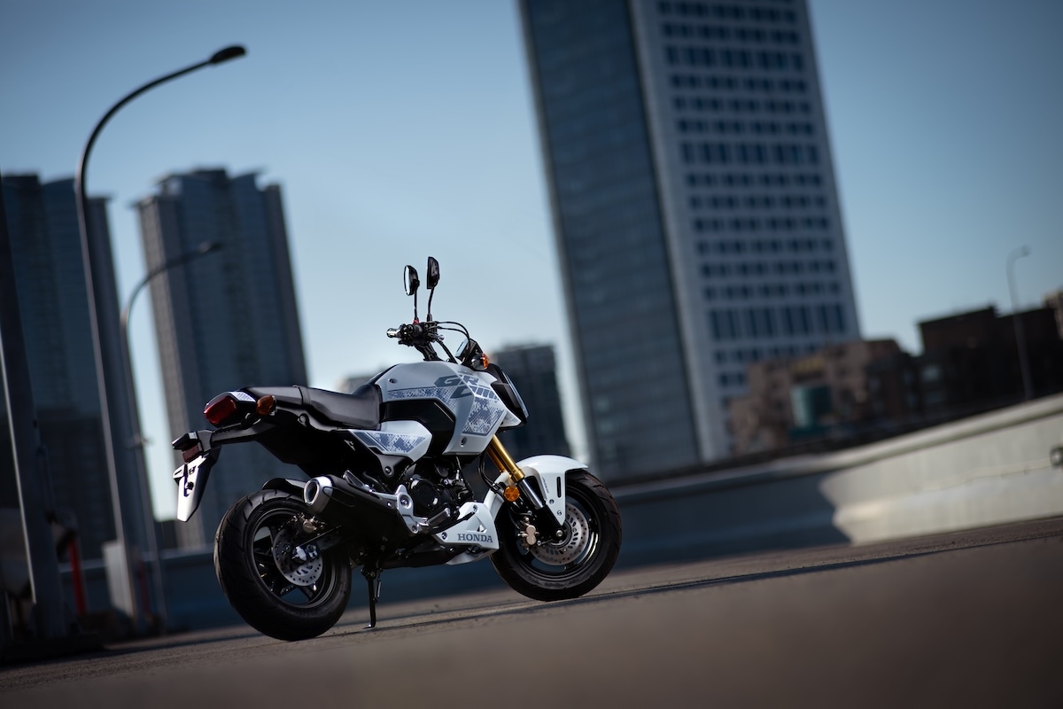 Honda MSX GROM 2027 tung bản rằn ri độc lạ khiến dân chơi xe côn tay tí hon phát sốt - Ảnh 2.