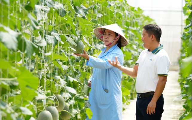 BIDV tiếp dòng tài chính, cùng khách hàng tiếp nối thành tựu