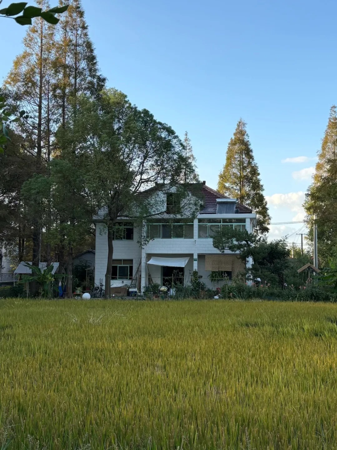 Chuyển ra ngoại thành thuê nhà 10 năm: Vợ chồng tiết kiệm 116 triệu/ năm, ăn rau sạch tự trồng, vào thành phố chỉ mất 10 phút- Ảnh 4.