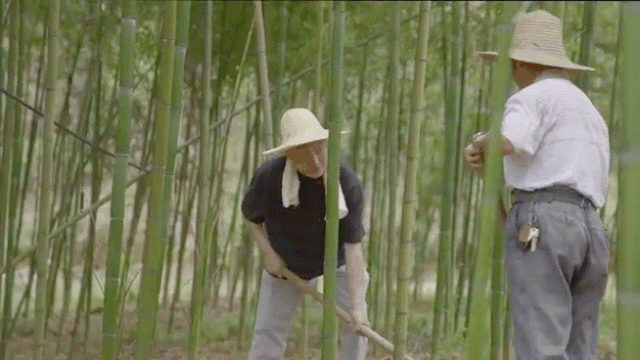 4 người trẻ 9X bỏ phố về quê xây nhà: Căn rẻ nhất chỉ khoảng 387 triệu, đổi cách tính tiền để có chỗ ở rộng rãi- Ảnh 15.